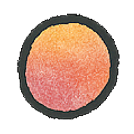 Aksa logo